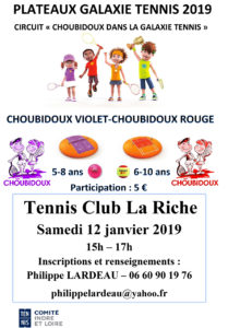 Choubidoux-LA-RICHE-Violet-Rouge-12-janvier-2019